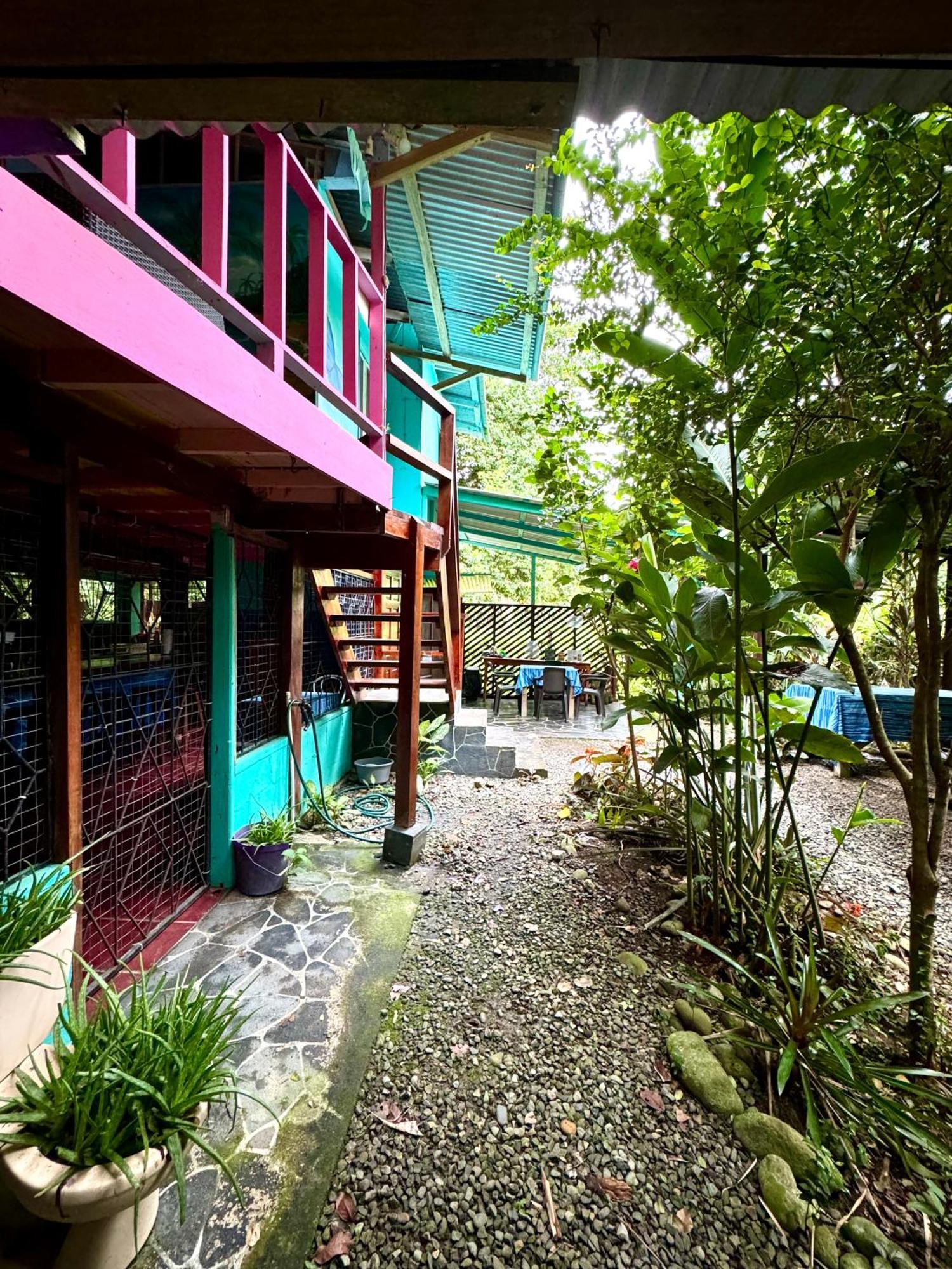 Hidden Jungle Beach House Puerto Viejo de Talamanca Exterior photo